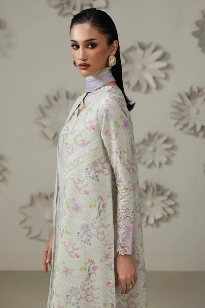 QQP-01 (B) AMEENA