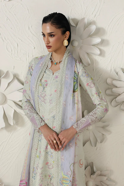 QQP-01 (B) AMEENA